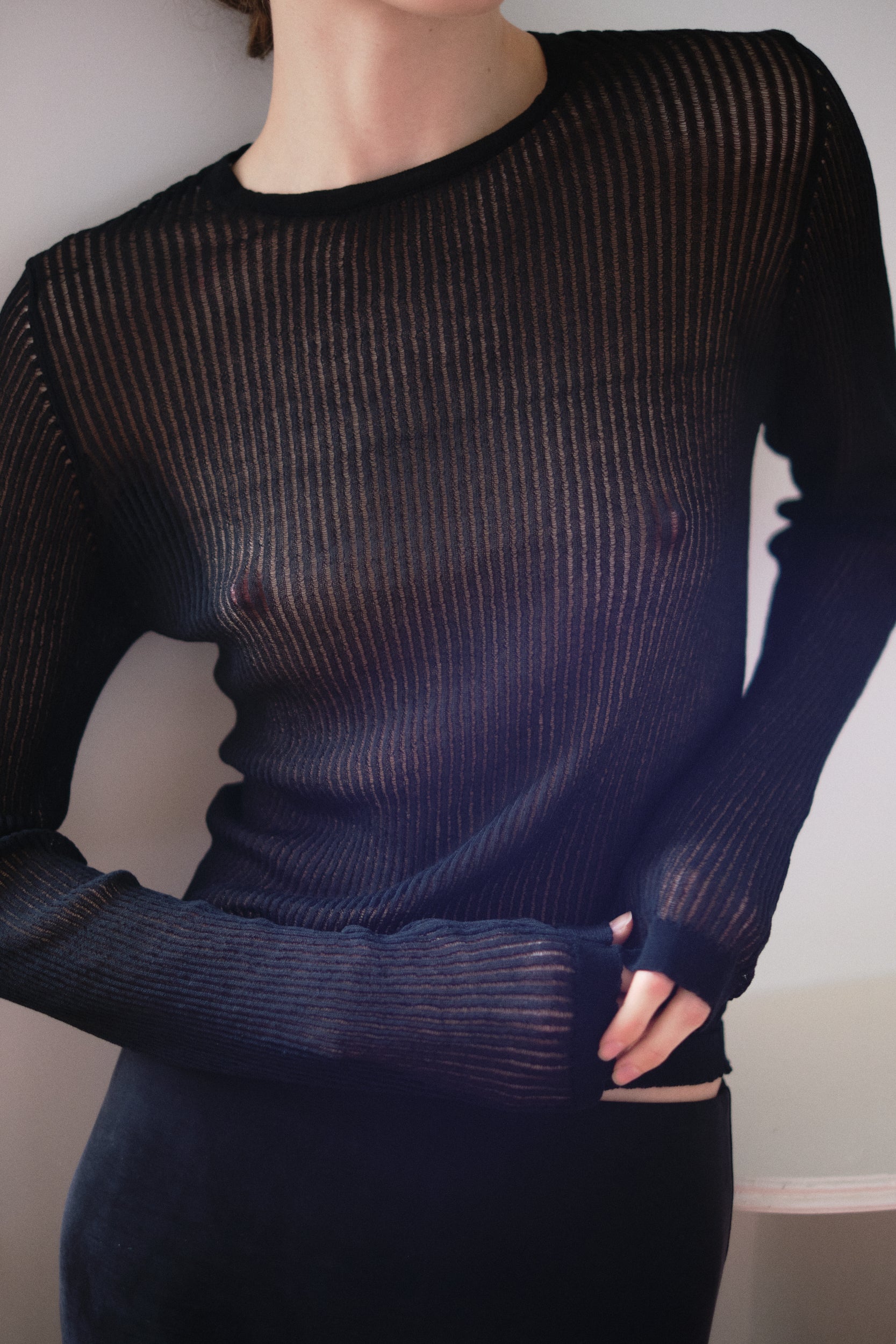 Sheer Knit Top | Black $229