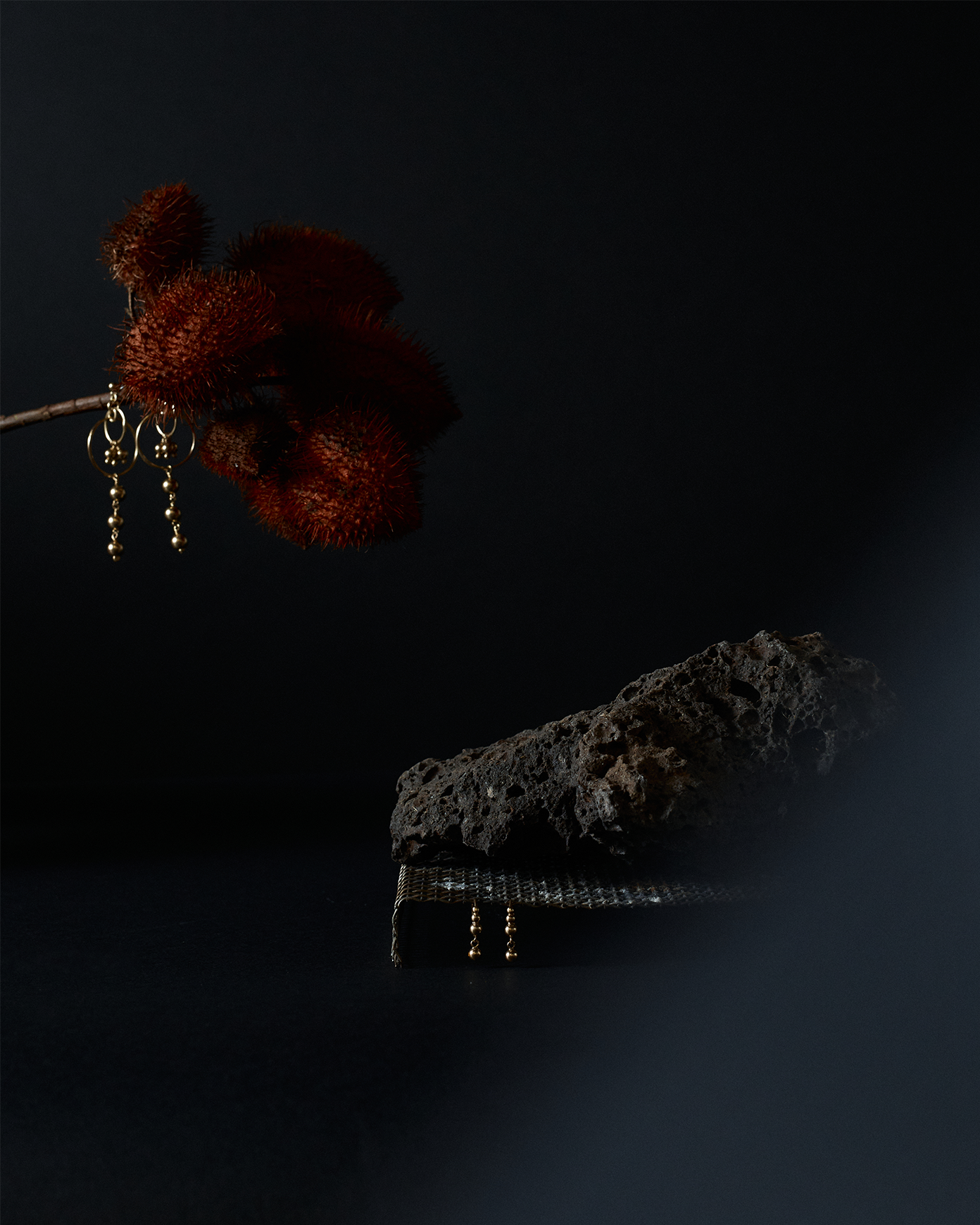 NEW ESSENTIALS | MORGAN EARRINGS $149
