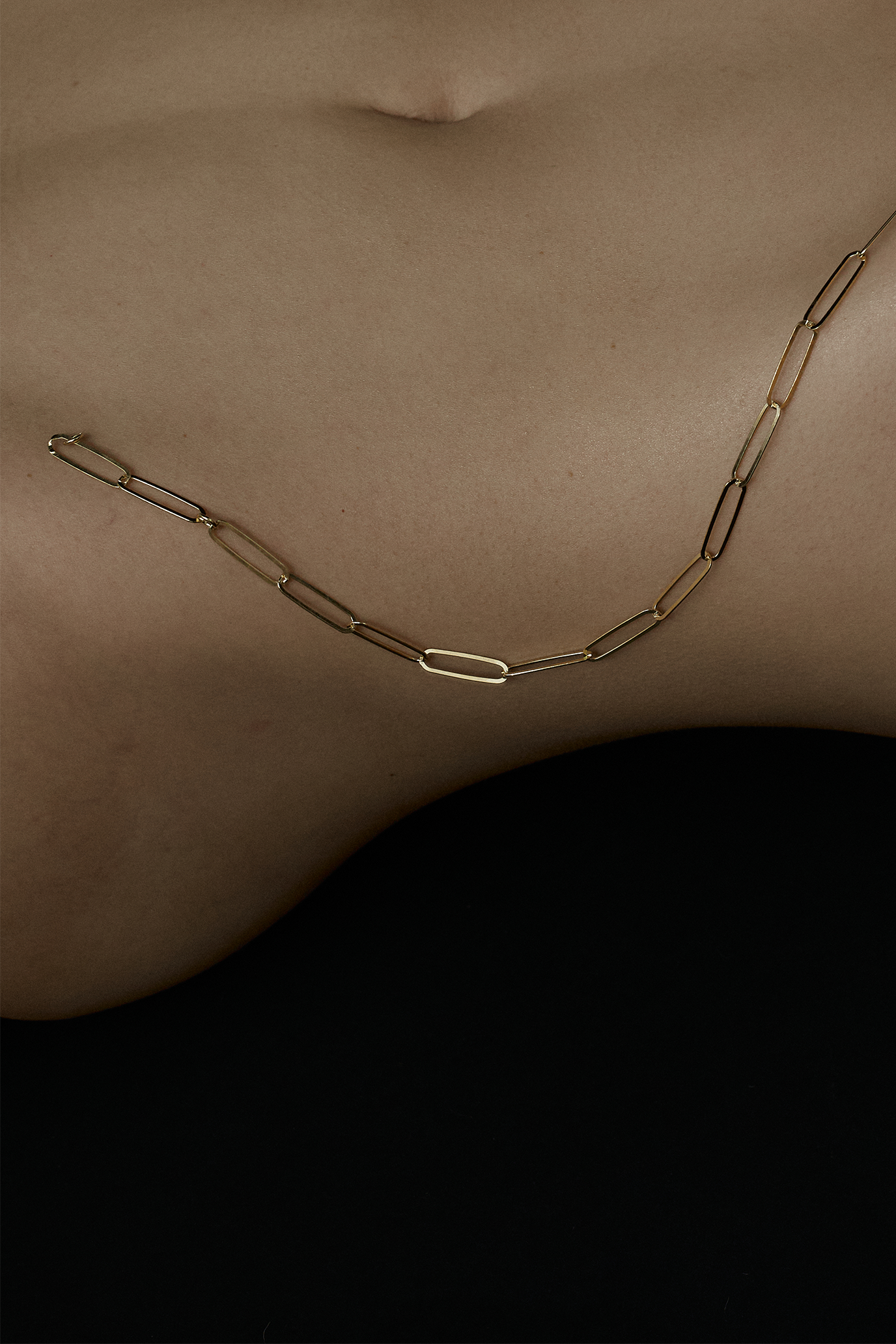NEW ESSENTIALS | MAXI OBLONG CHAIN $189